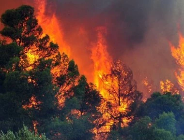 Δείτε πόσο γρήγορα εξαπλώνεται μία πυρκαγιά (βίντεο)